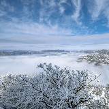༺ཌༀൢ花开半夏笑嫣如花ൢༀད༻