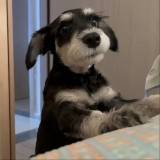 梦想成真