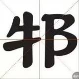 💎掌中的寶💎