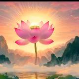 何其有幸