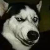 🐎孩子他爹🐎