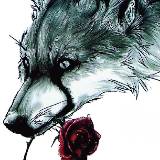 桀骜★孤魂（退）